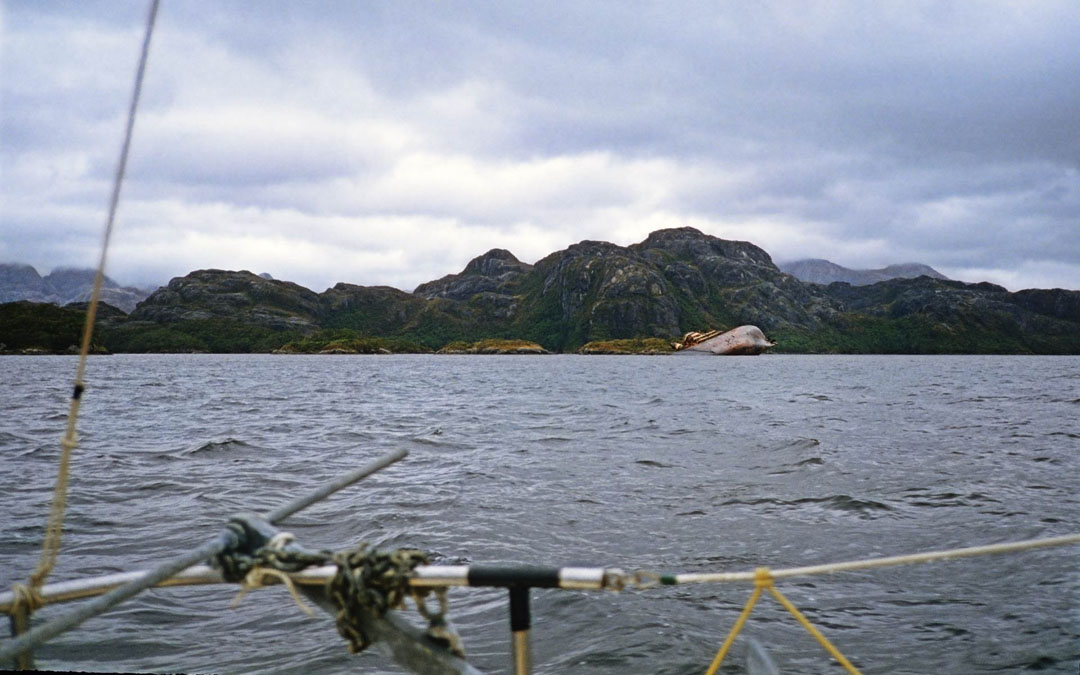 a weck in the Patagonian Archipelato