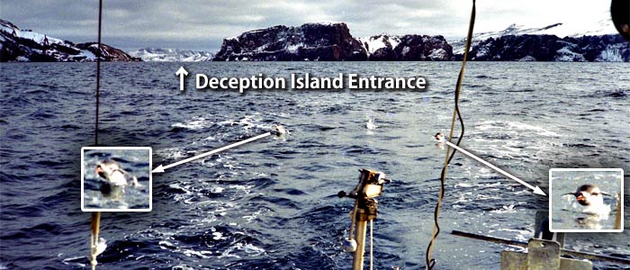 leaving Deception island